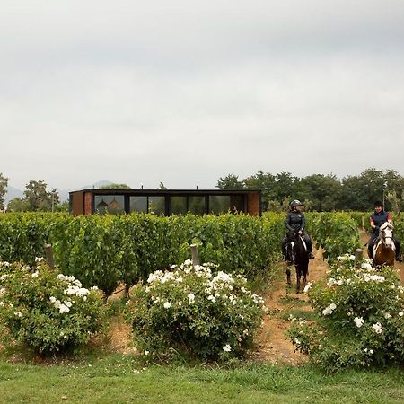 Vibo Wine Lodge At Viu Manent سانتا كروز المظهر الخارجي الصورة