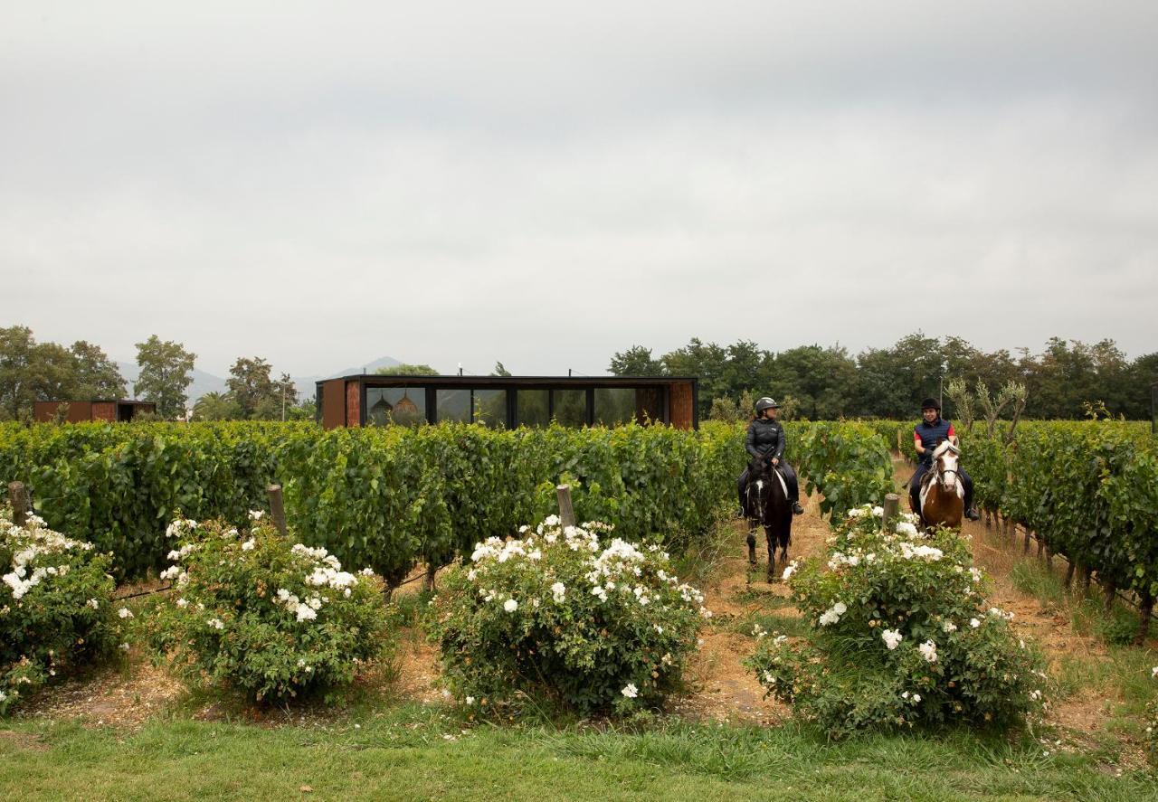 Vibo Wine Lodge At Viu Manent سانتا كروز المظهر الخارجي الصورة