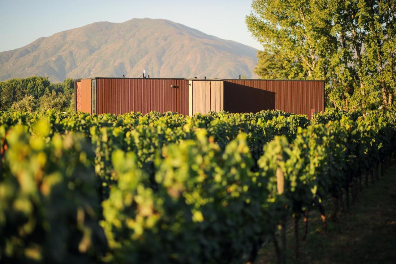 Vibo Wine Lodge At Viu Manent سانتا كروز المظهر الخارجي الصورة