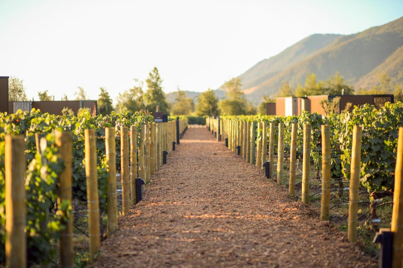 Vibo Wine Lodge At Viu Manent سانتا كروز المظهر الخارجي الصورة