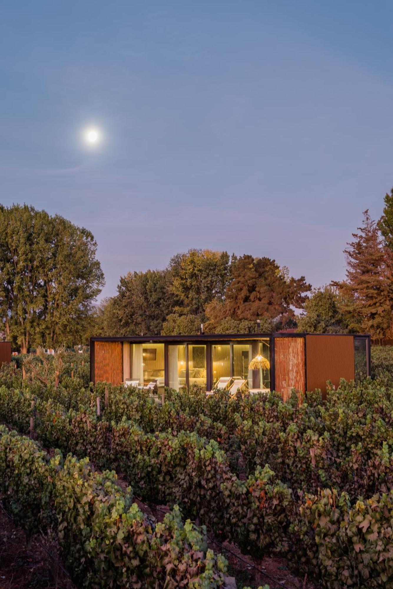 Vibo Wine Lodge At Viu Manent سانتا كروز المظهر الخارجي الصورة
